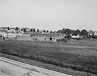 College Road field Billy Smart's Circus 1952 